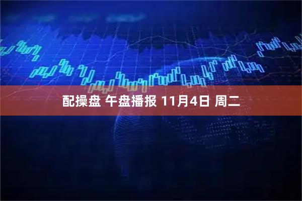 配操盘 午盘播报 11月4日 周二