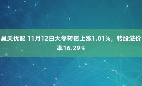 昊天优配 11月12日大参转债上涨1.01%，转股溢价率16.29%