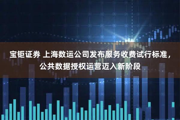 宝钜证券 上海数运公司发布服务收费试行标准，公共数据授权运营迈入新阶段